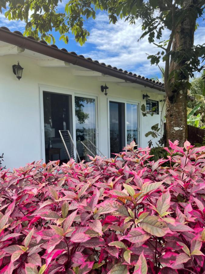 Boca Brava Paradise Bed & Breakfast Boca Chica Luaran gambar