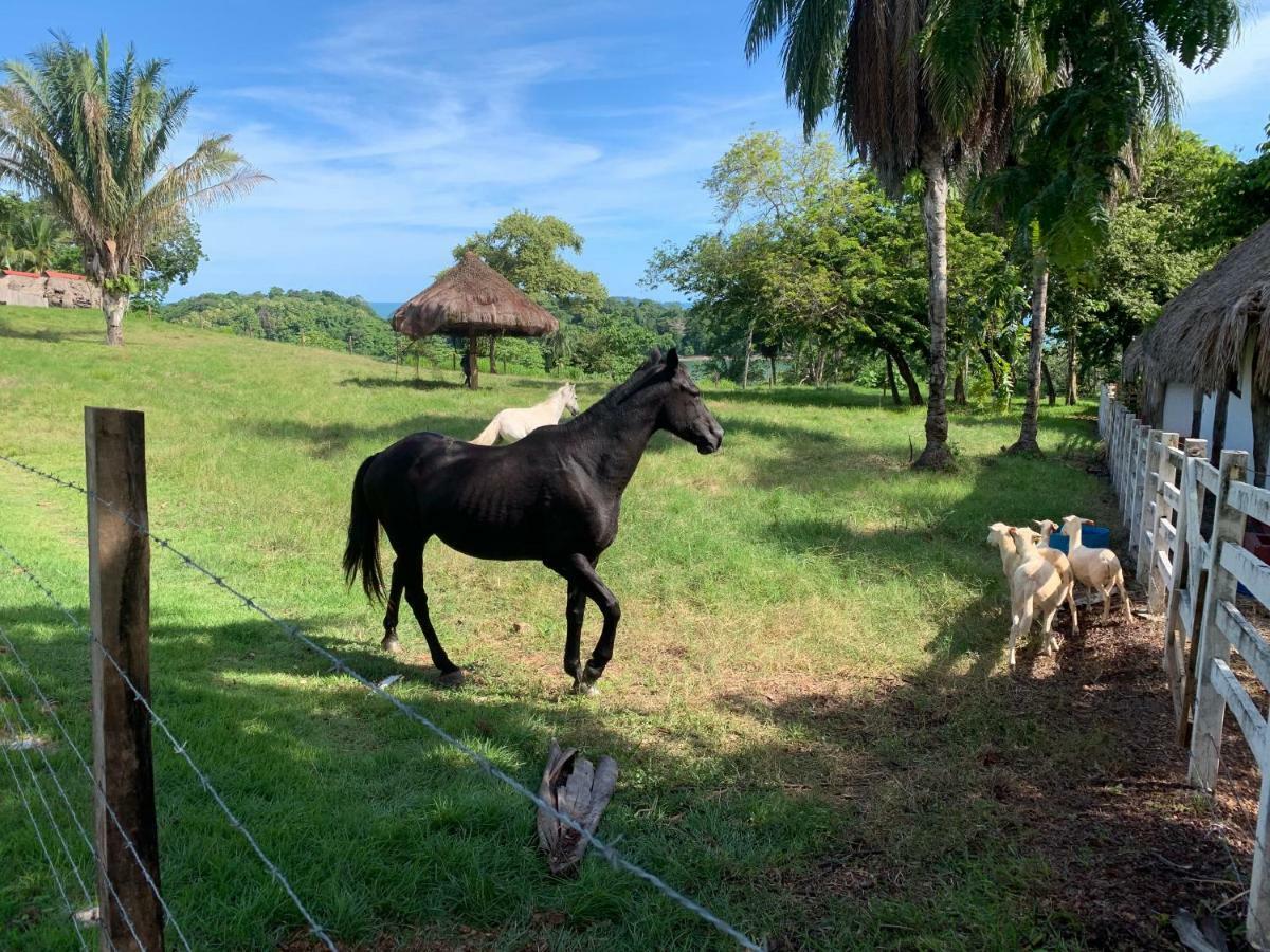 Boca Brava Paradise Bed & Breakfast Boca Chica Luaran gambar